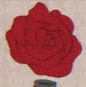 Meet your Posher, Daniella